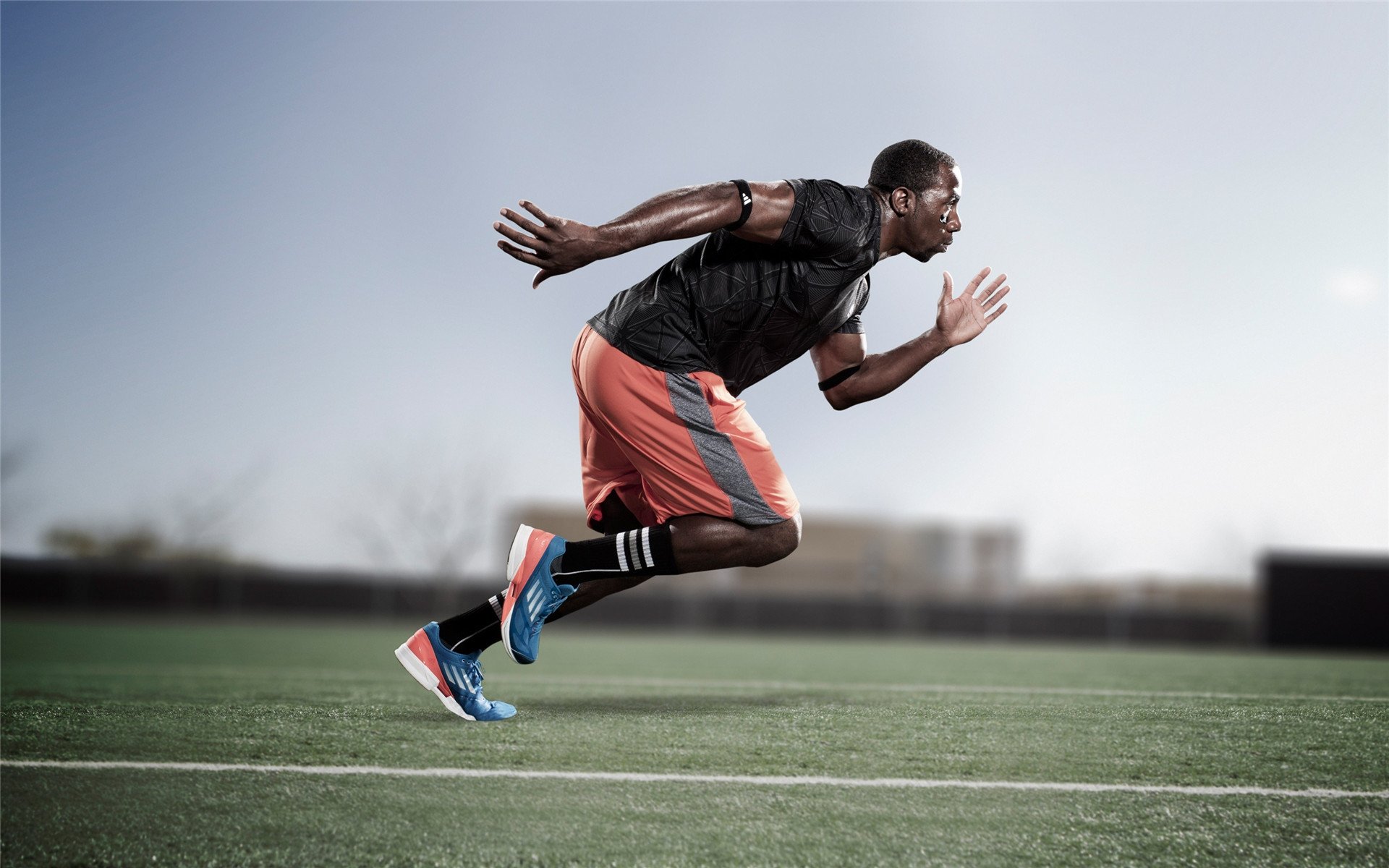 体育场馆智能化升级，观赛体验全面提升，体育场馆智能化改造